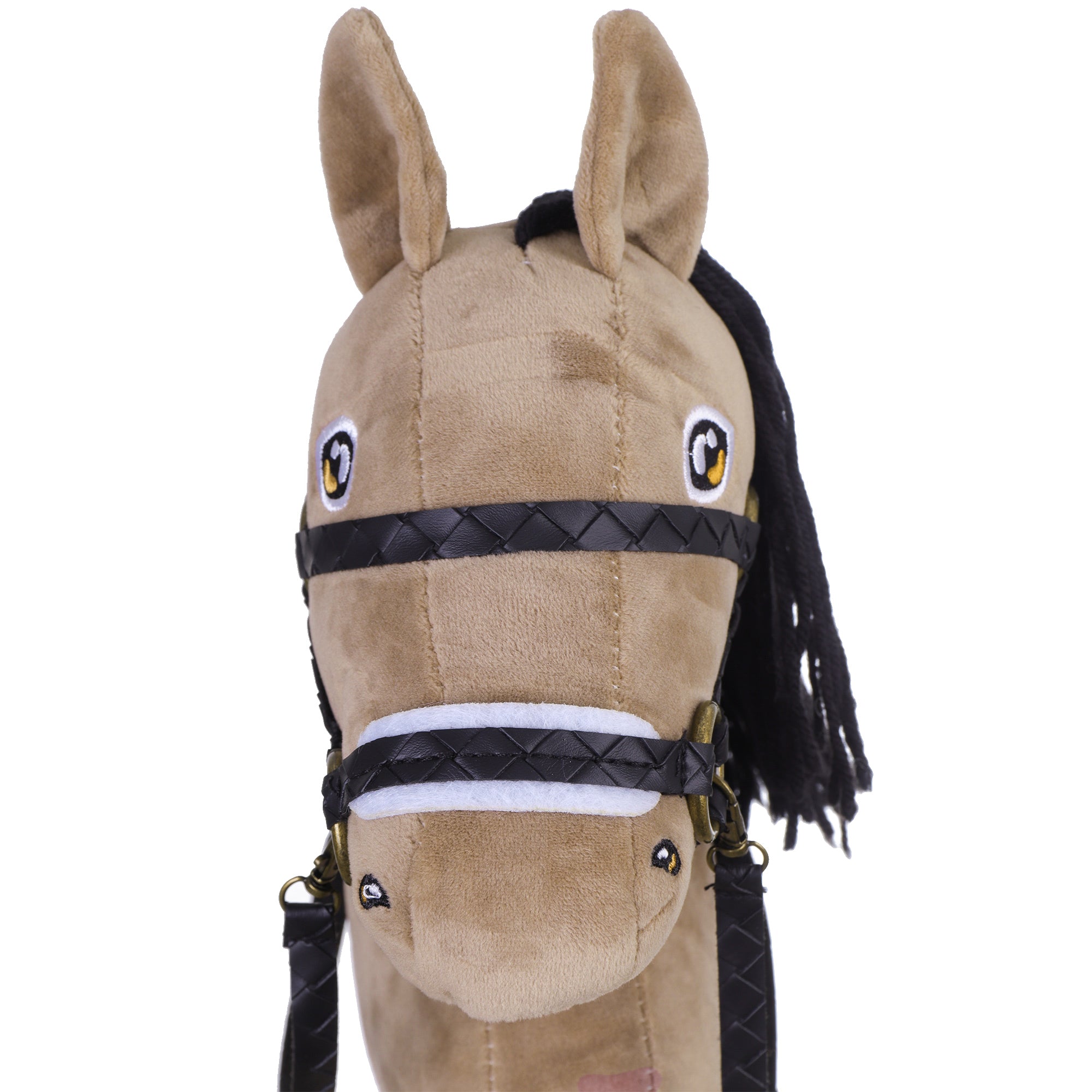 d26236fca078ab9f6e931bf3e0083ed6