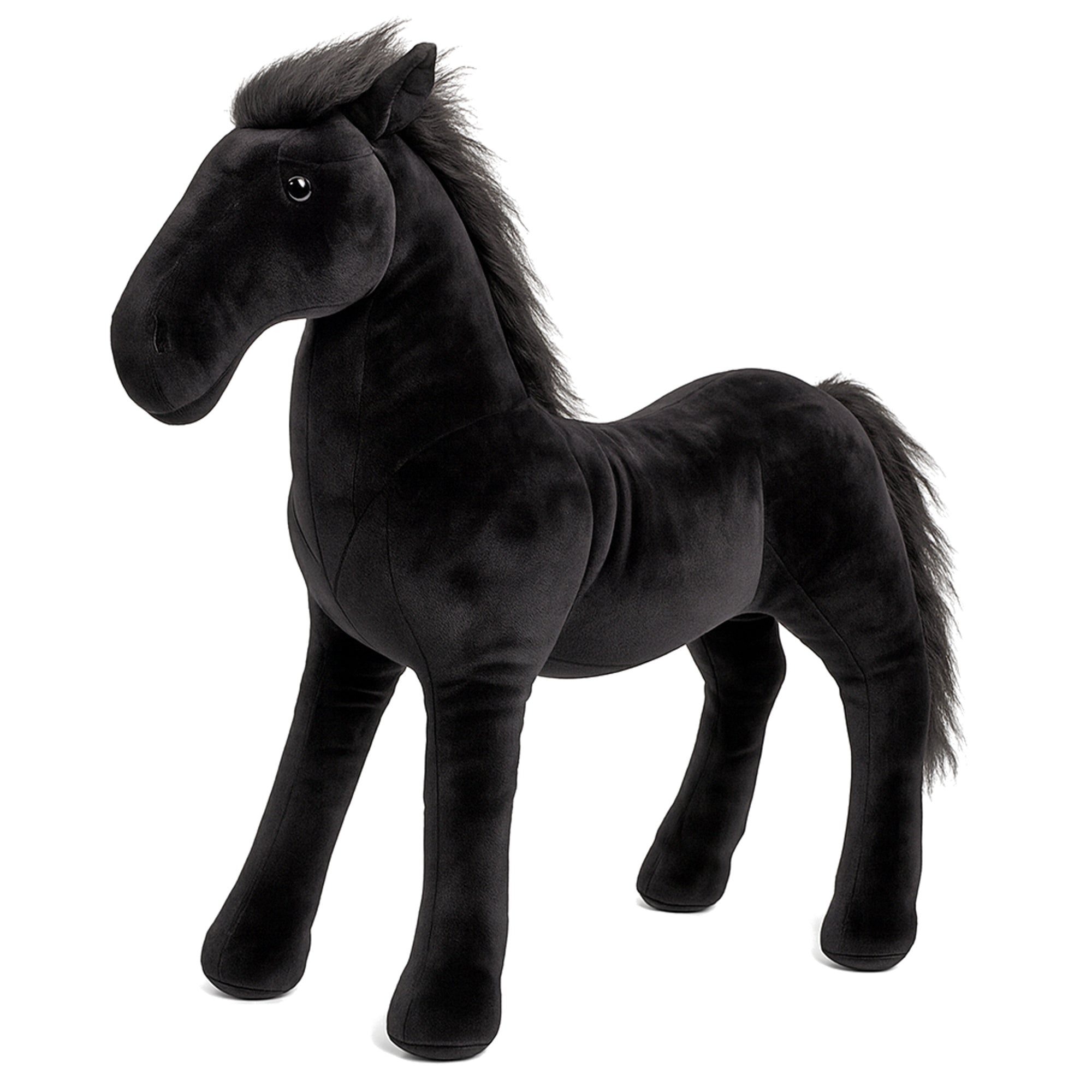 e585b16851908974e169c29342976ad9