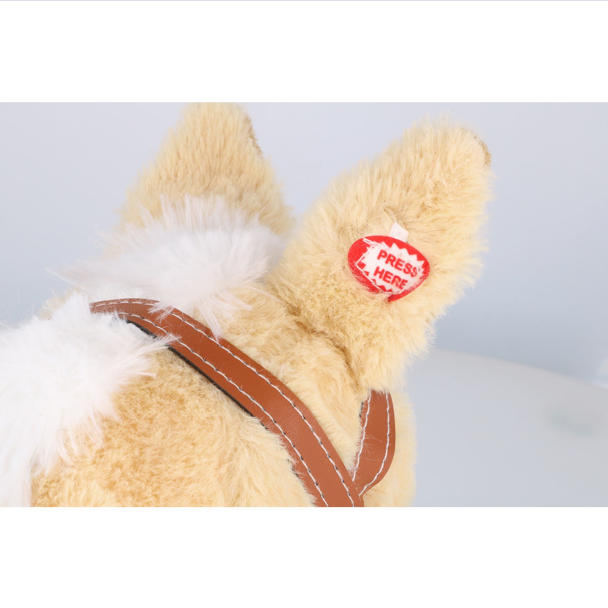 23e424e8c6c365926729dc2f86845b22